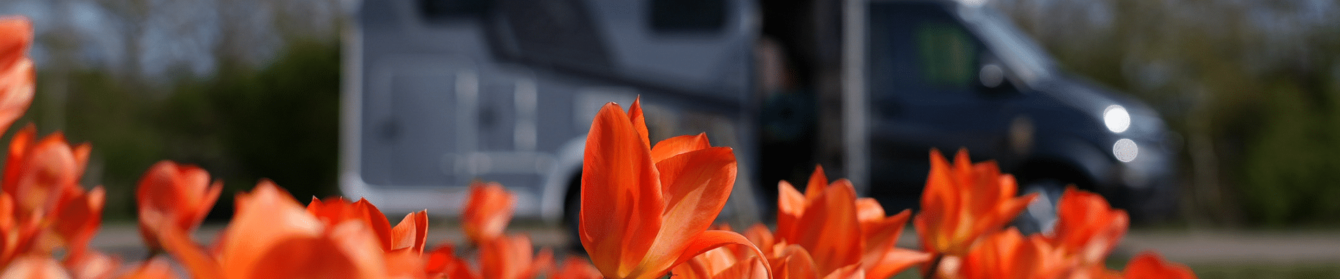 banner-deklerkcaravans-camper-caravan-kopen-bollenstreek